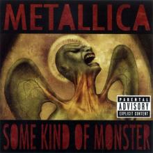 METALLICA - Some Kind Of Monster (Enhanced) CD