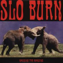 SLO BURN - Amusing The Amazing (Translucent Yellow-Orange Vinyl) 10''