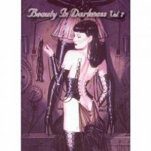  V/A - Beauty In Darkness Vol. 7 (Digibook, Slipcase) 2DVD