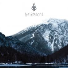 BLOODBARK - Bonebranches CD