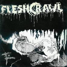 FLESHCRAWL - Lost In A Grave 7