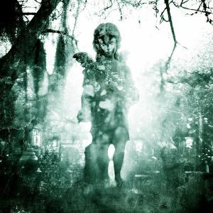 MACHINE HEAD - Through The Ashes Of Empires (180gr / Gatefold) LP