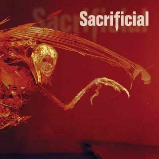 SACRIFICIAL - AUTOHATE CD