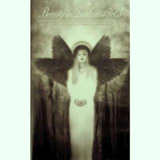 V/A Beauty In Darkness Vol. 5 DVD