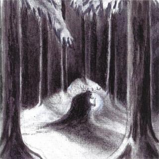 HAVUKRUUNU - Havulinnaan CD HAVUKRUUNU - Havulinnaan CD